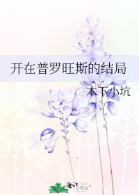 开在普罗旺斯的结局